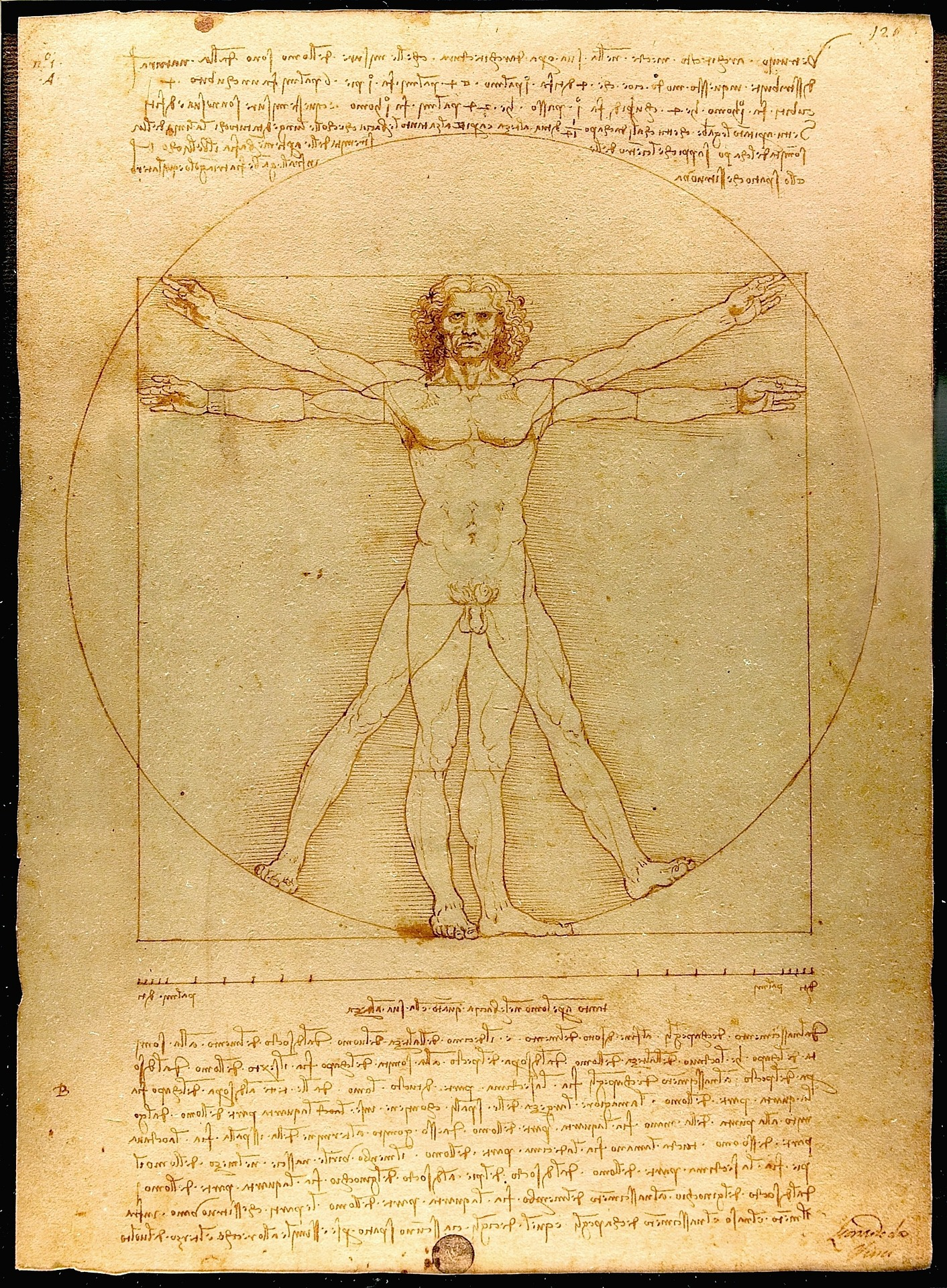 レオナルドダヴィンチ　ウィトルウィウス的人体図