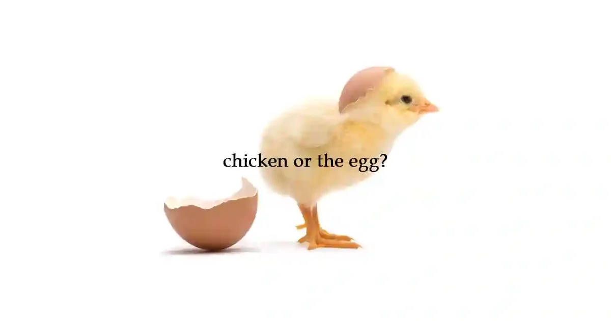 chicken or the egg?